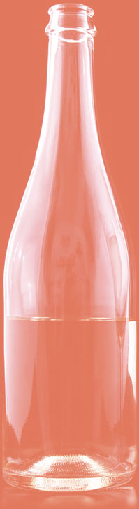champagne